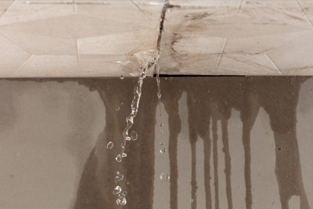 Professional Structural Drying technician working in Graham, TX